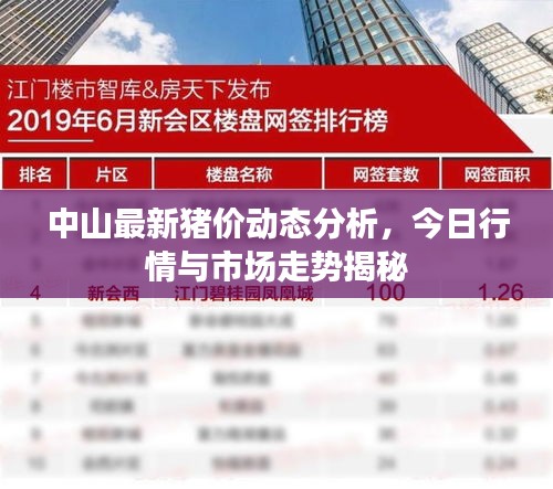 中山最新猪价动态分析，今日行情与市场走势揭秘