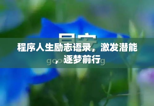 程序人生励志语录，激发潜能，逐梦前行