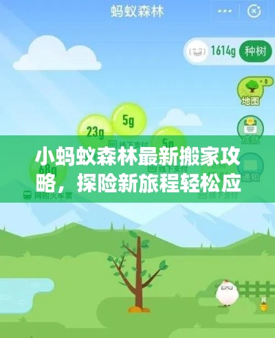 小蚂蚁森林最新搬家攻略，探险新旅程轻松应对！