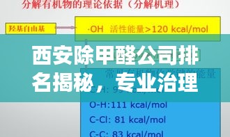 西安除甲醛公司排名揭秘，专业治理甲醛，守护健康呼吸的重要性