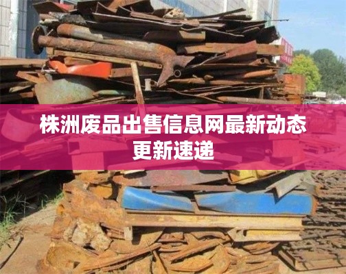 株洲废品出售信息网最新动态更新速递