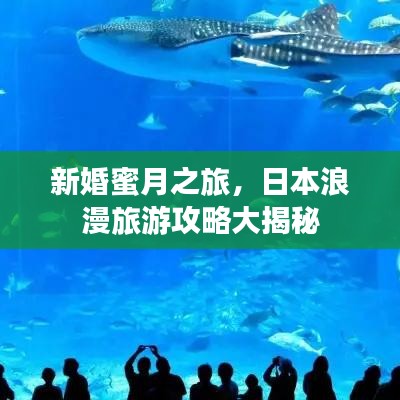 新婚蜜月之旅，日本浪漫旅游攻略大揭秘
