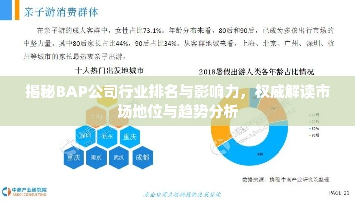 揭秘BAP公司行业排名与影响力，权威解读市场地位与趋势分析