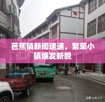 芭蕉镇新闻速递，繁荣小镇焕发新貌