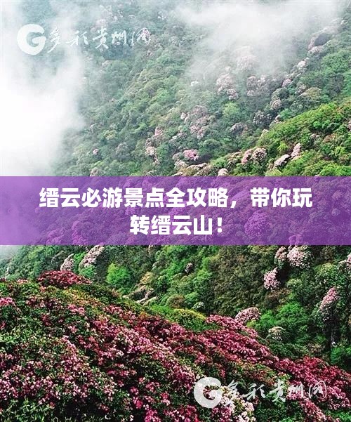 缙云必游景点全攻略，带你玩转缙云山！