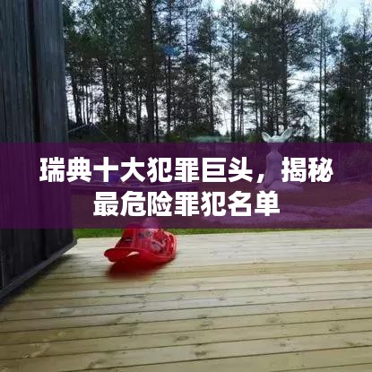 瑞典十大犯罪巨头，揭秘最危险罪犯名单