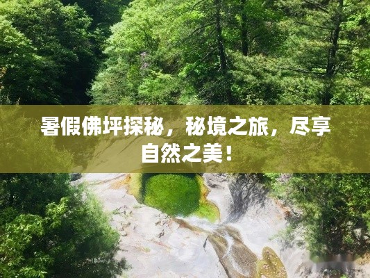 暑假佛坪探秘，秘境之旅，尽享自然之美！
