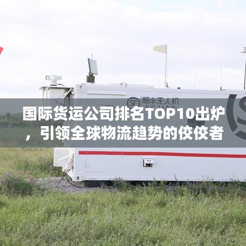 国际货运公司排名TOP10出炉，引领全球物流趋势的佼佼者