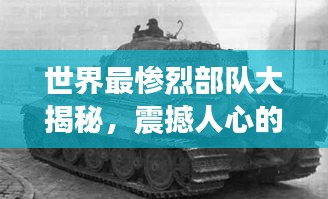 世界最惨烈部队大揭秘，震撼人心的战斗排名！