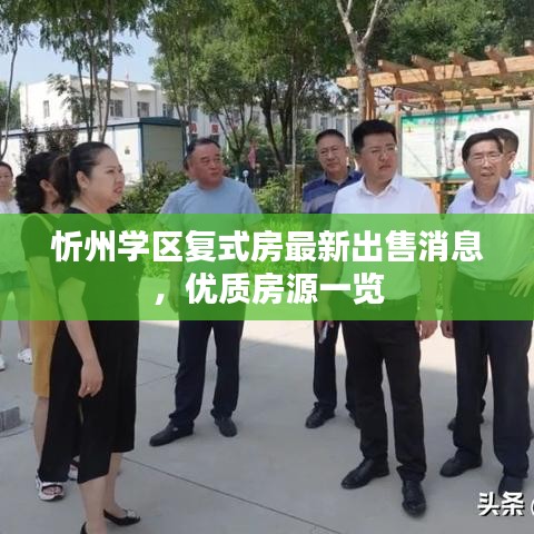 忻州学区复式房最新出售消息，优质房源一览