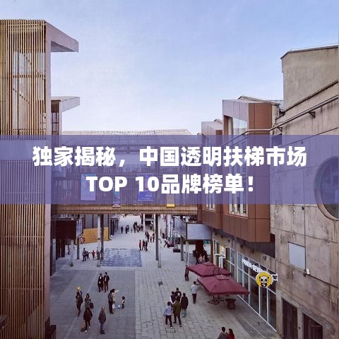 独家揭秘，中国透明扶梯市场TOP 10品牌榜单！