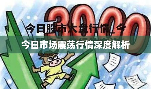 今日市场震荡行情深度解析