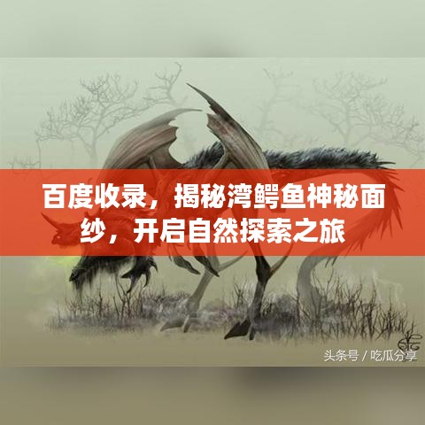 百度收录，揭秘湾鳄鱼神秘面纱，开启自然探索之旅