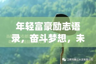 年轻富豪励志语录，奋斗梦想，未来呼唤启航之路