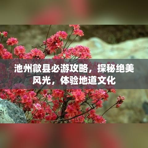 池州歙县必游攻略，探秘绝美风光，体验地道文化