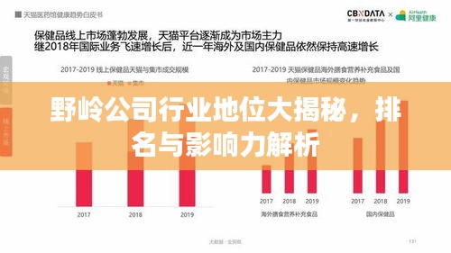 野岭公司行业地位大揭秘，排名与影响力解析