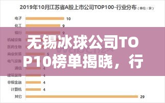 无锡冰球公司TOP10榜单揭晓，行业领军者榜单排名