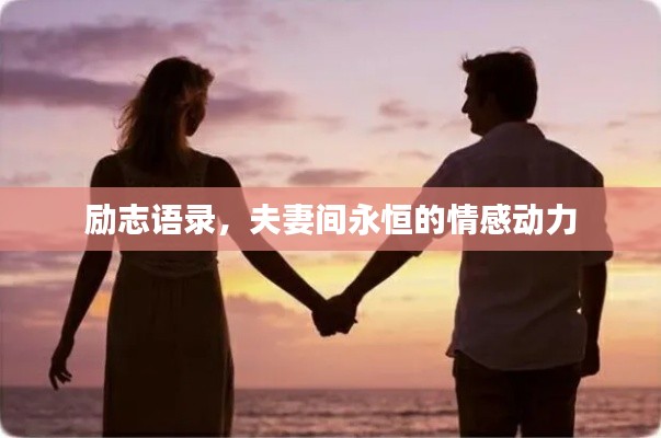 励志语录，夫妻间永恒的情感动力