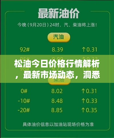 松油今日价格行情解析，最新市场动态，洞悉油价变化！