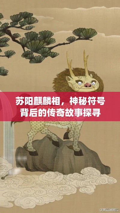 苏阳麒麟相，神秘符号背后的传奇故事探寻
