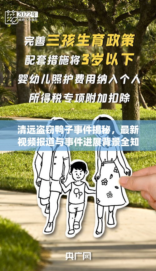 清远盗窃鸭子事件揭秘，最新视频报道与事件进展背景全知道