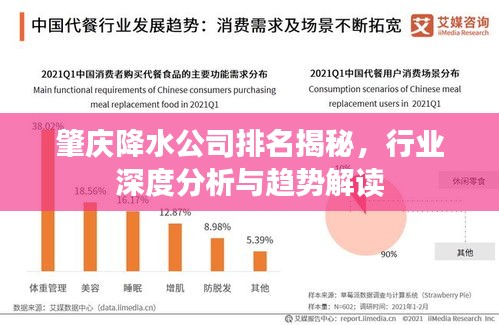 肇庆降水公司排名揭秘，行业深度分析与趋势解读