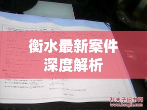 衡水最新案件深度解析