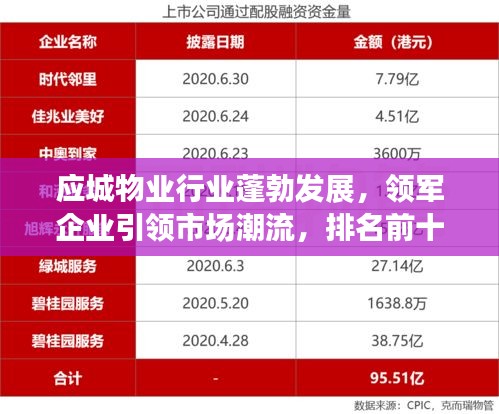 应城物业行业蓬勃发展，领军企业引领市场潮流，排名前十企业大放异彩