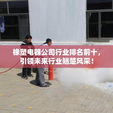 橡塑电器公司行业排名前十，引领未来行业翘楚风采！