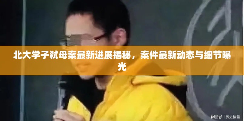 北大学子弑母案最新进展揭秘，案件最新动态与细节曝光