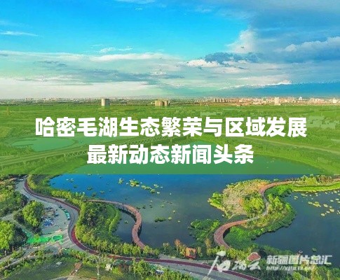 哈密毛湖生态繁荣与区域发展最新动态新闻头条