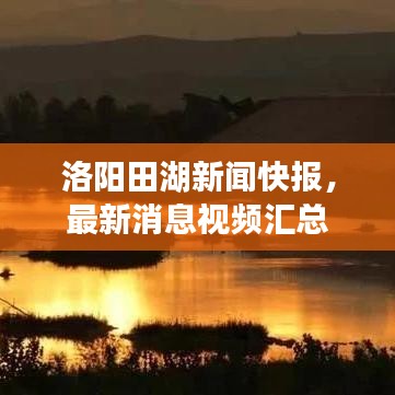洛阳田湖新闻快报，最新消息视频汇总