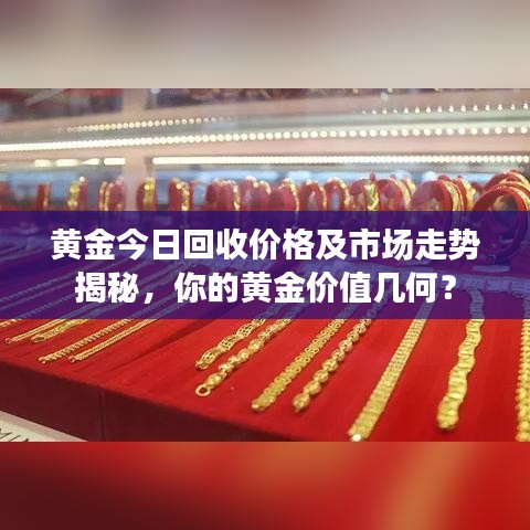 黄金今日回收价格及市场走势揭秘，你的黄金价值几何？