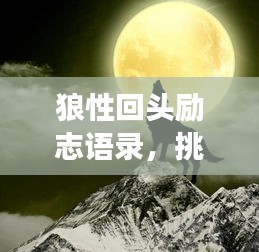 狼性回头励志语录，挑战自我，勇往直前，成就非凡人生