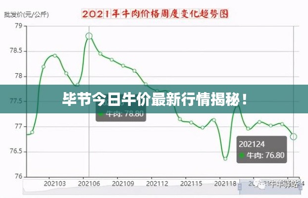 毕节今日牛价最新行情揭秘！