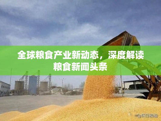 全球粮食产业新动态，深度解读粮食新闻头条