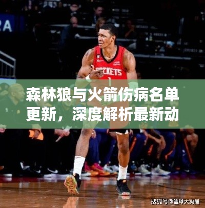森林狼与火箭伤病名单更新，深度解析最新动态
