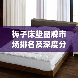 褥子床垫品牌市场排名及深度分析揭秘