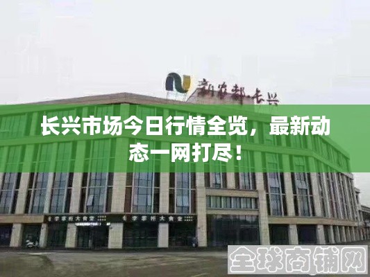 长兴市场今日行情全览，最新动态一网打尽！
