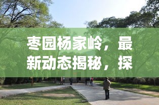 枣园杨家岭，最新动态揭秘，探索发现之旅
