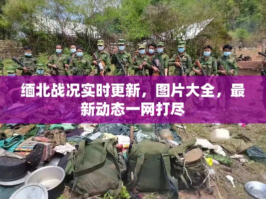 缅北战况实时更新，图片大全，最新动态一网打尽