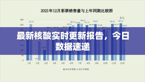 最新核酸实时更新报告，今日数据速递