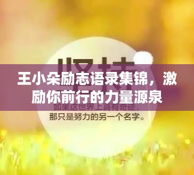 王小朵励志语录集锦，激励你前行的力量源泉