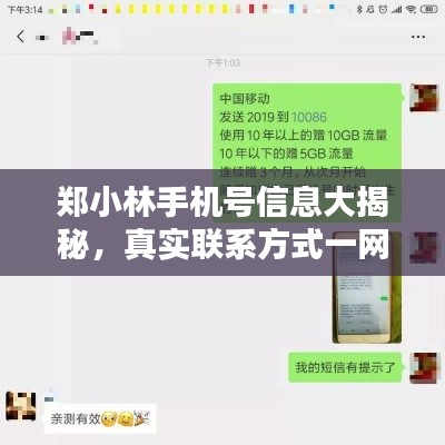 郑小林手机号信息大揭秘，真实联系方式一网打尽！