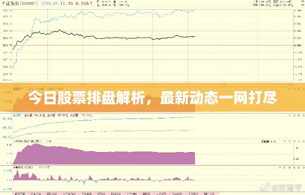 今日股票排盘解析，最新动态一网打尽