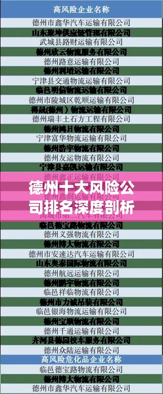 德州十大风险公司排名深度剖析