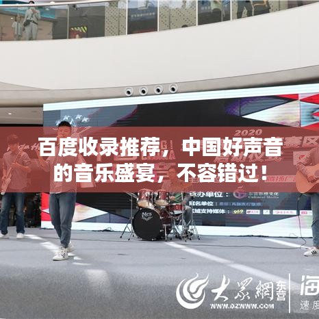 百度收录推荐，中国好声音的音乐盛宴，不容错过！